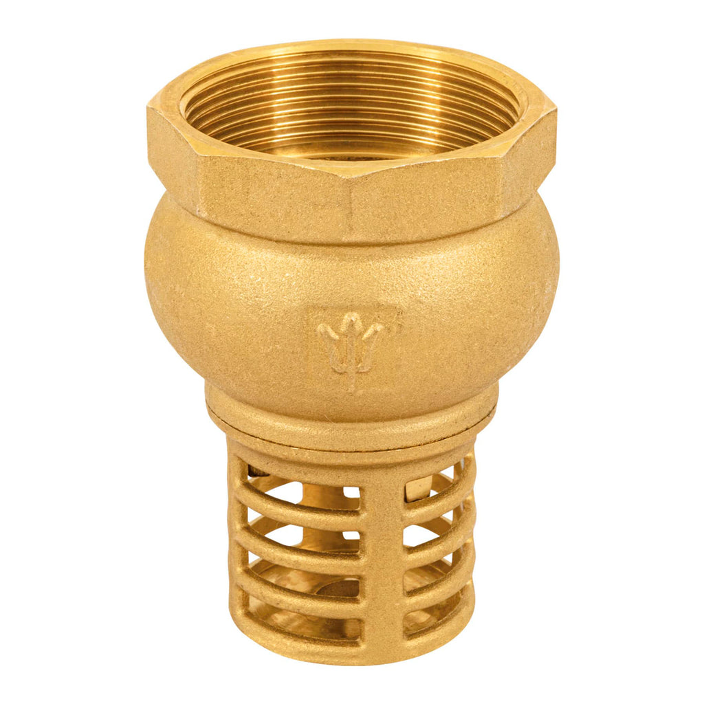Pichancha Con Rejilla De Latón 2", Foset 49049