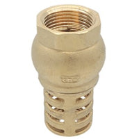 VÁLVULA DE PIE 2" Cnx VAPI32