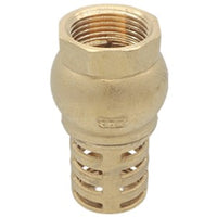 Válvula de Pie 1 1/4", Cnx VAPI20