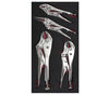 Juego de 4 pinzas de presion CH127***